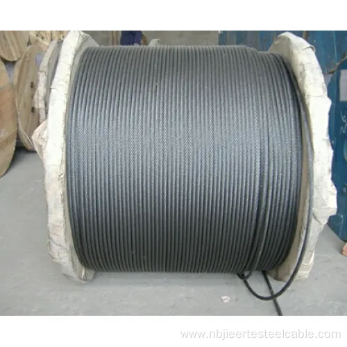 Galvanized Steel Wire Rope 1X19 with Good Quality